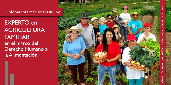 Experto en Agricultura Familiar en el marco del Derecho Humano a la alimentación